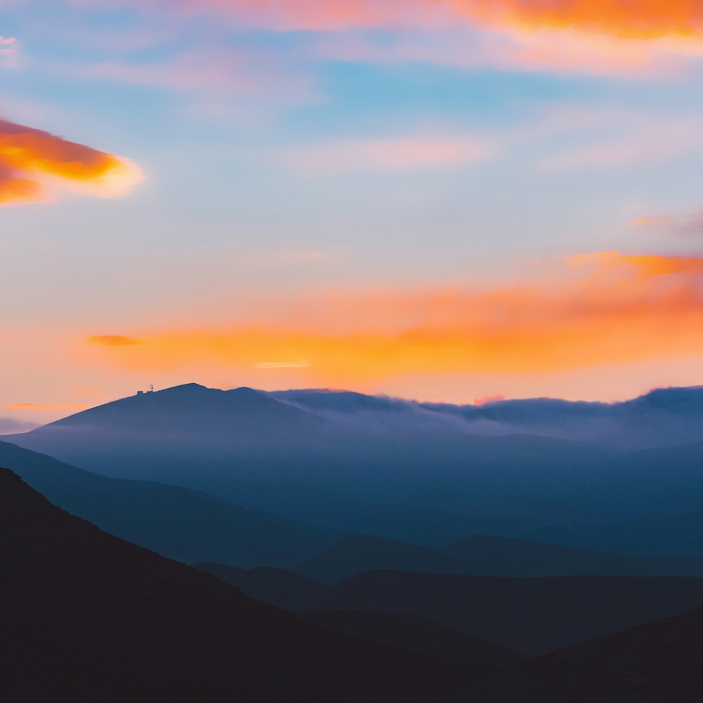 Meet your Posher, Dennis